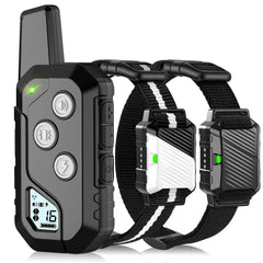 Snsng collar de entrenamiento para dos perros con control remoto seguro.