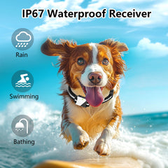 Receptor IP67 de Snsng resistente al agua para cualquier clima.