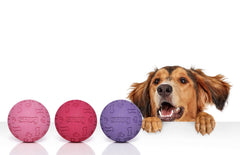 Bola Snug con textura rugosa, resistente para mordidas suaves durante el juego.
