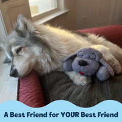 Snuggle Puppy juguete duradero para uso diario.