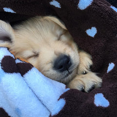 Snuggle Puppy manta para perros 48 x 30: tamaño ideal para cachorros.