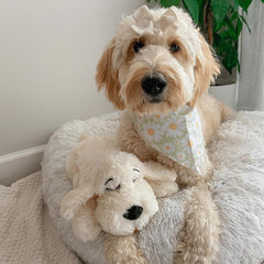 Snuggle Puppy peluche suave ideal para juego y relajación.