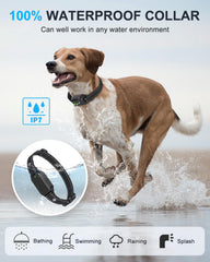 Batería de carga doble USB-C para collar y mando SODOG.