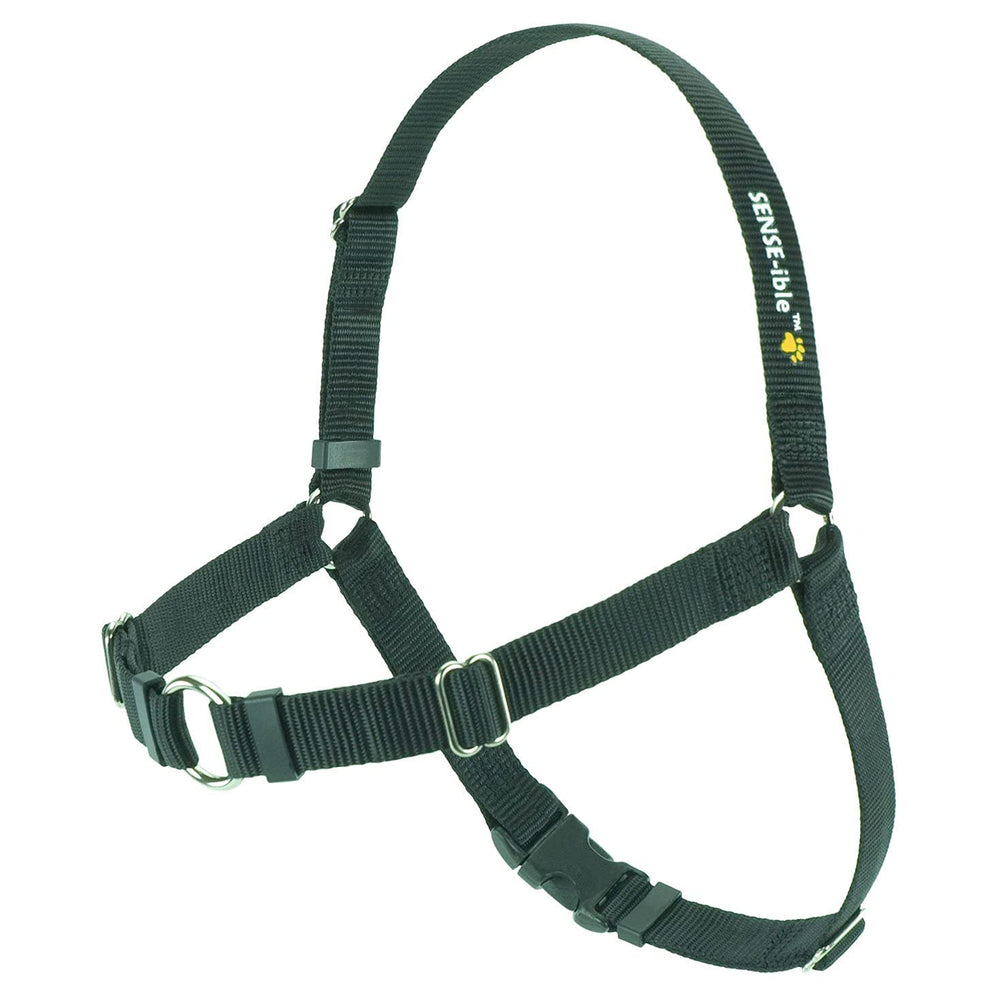Softouch Sense-ible arnés frontal en acción para paseos más controlados.