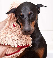 Soggy Doggy Super Shammy: bolsillos para secado, agarre seguro