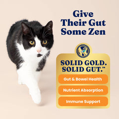 Solid Gold Alimento Seco para Gato con probióticos para digestión equilibrada.