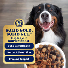 Solid Gold granos enteros: arroz integral y cebada para una digestión saludable