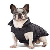 SPACE LION abrigo puffer para perro, vista frontal y calor ligero.