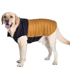 SPACE LION chaqueta acolchada para perro con cuello ajustable, ajuste cómodo.