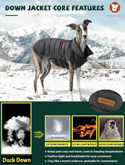 Space Lion chaleco perro invierno dorso: protección contra viento y humedad