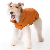 Space Lion chaqueta acolchada para perro, vista frontal, mantiene al perro cálido en paseos.