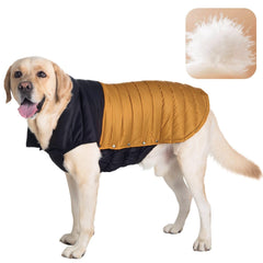 Space Lion chaqueta acolchada para perro, vista frontal, mantiene al perro cálido en paseos diarios.