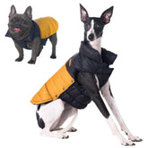 SPACE LION chaqueta acolchada para perro, vista frontal, mantiene cálido durante paseos en frío
