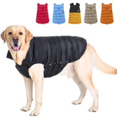 Space Lion chaqueta invierno para perro con ajuste cómodo para caminatas diarias