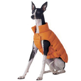 Space LION chaqueta para perro naranja lista para paseos de invierno