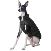 SPACE LION chaqueta para perro en negro onyx con plumón cálido.