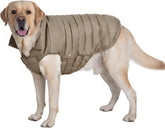 SPACE LION chaqueta-perro-invierno para paseos fríos y libertad de movimiento