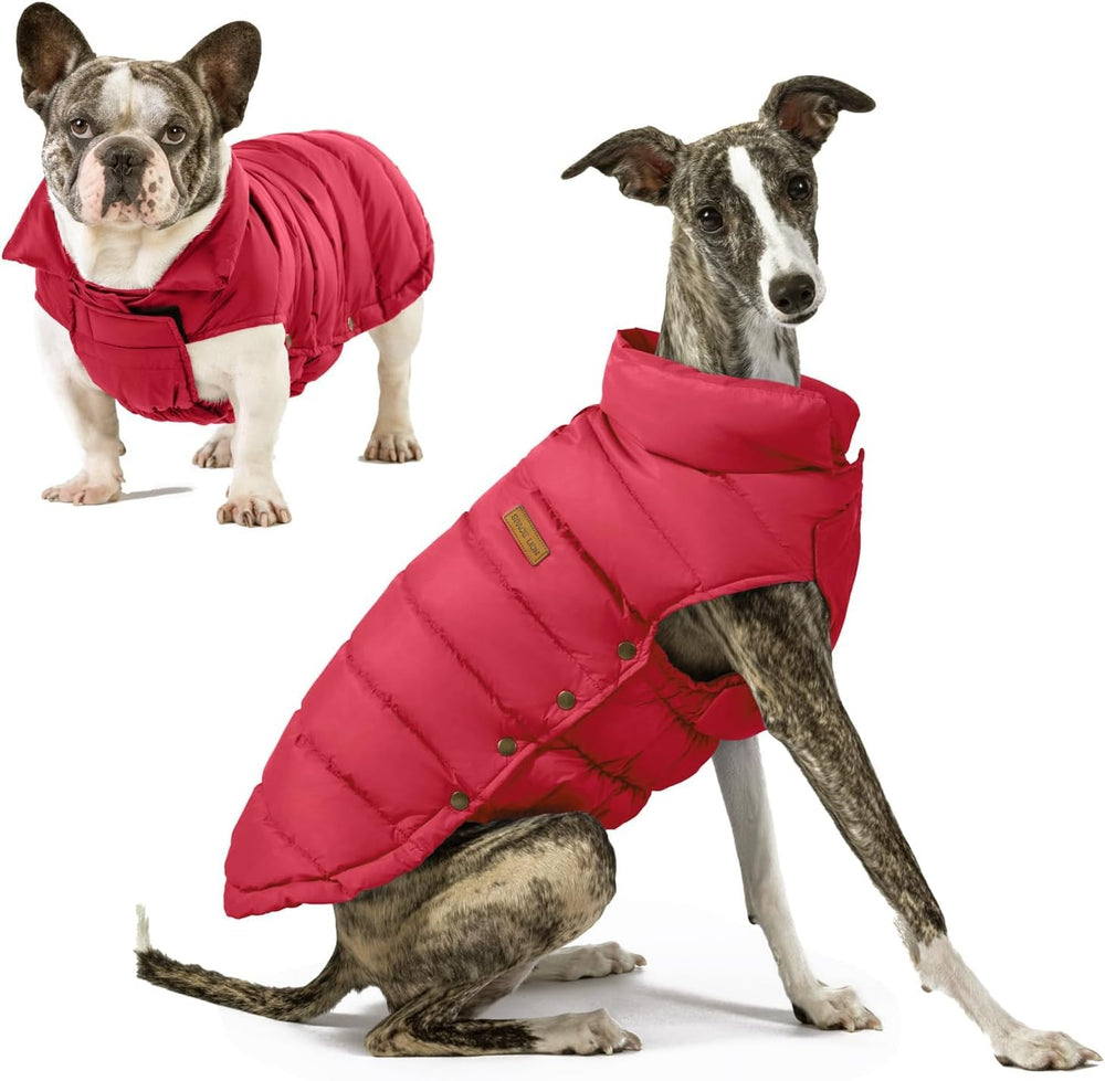 Space Lion chaqueta para perros con plumón, vista general en rojo; ideal para paseos invernales.