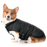 Space Lion chaqueta perro puffer frontal para climas fríos y paseos cómodos