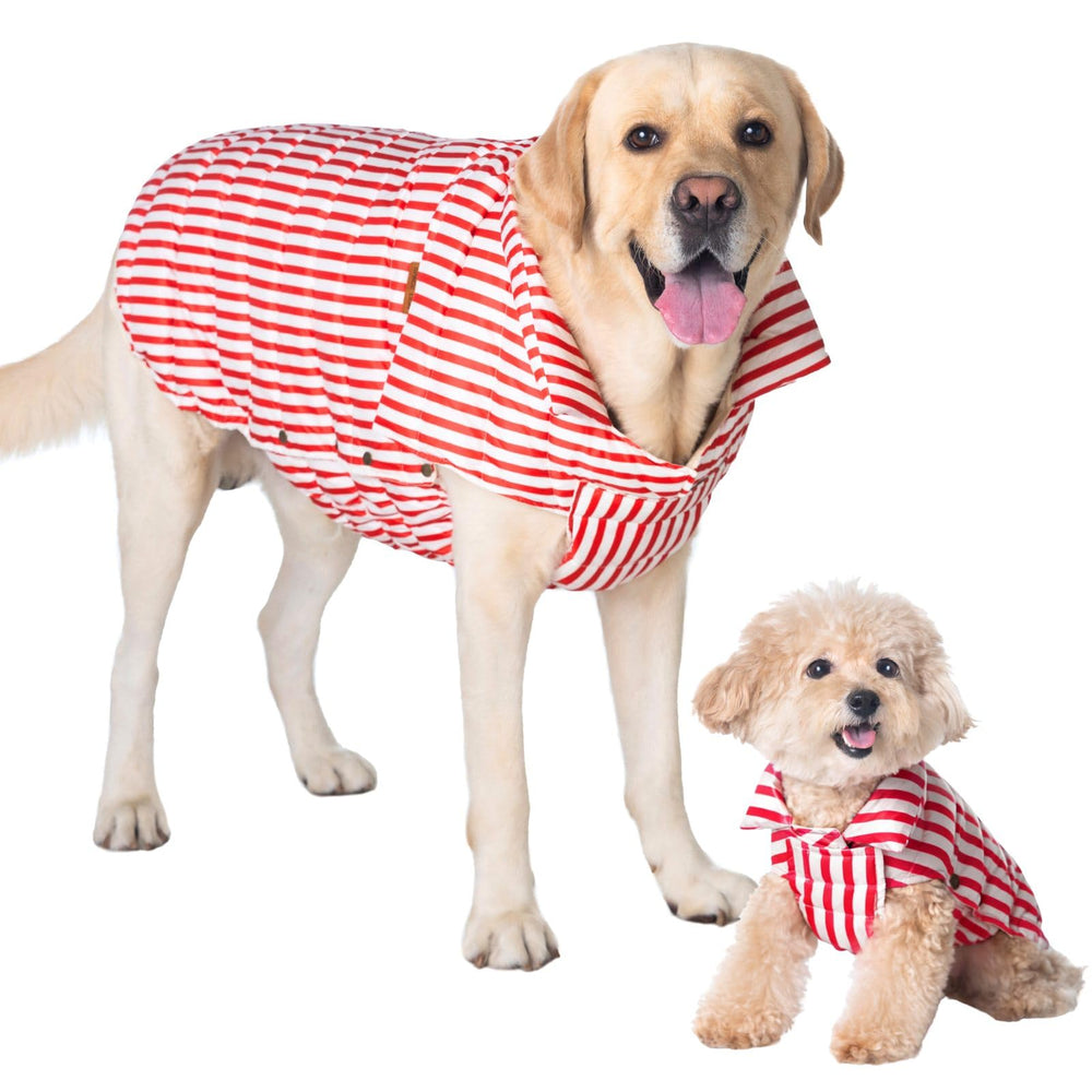 Space Lion chaqueta perro puffer para nieve protege contra el frio