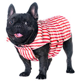 Space Lion chaqueta para perros, frontal, abrigo ligero y cálido para inviernos fríos.