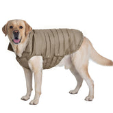 Space Lion chaqueta puffer para perro con cuello ajustable para ajuste cómodo