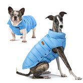 Space Lion chaqueta puffer para perro, vista frontal, mantiene calor cómodo durante paseos.