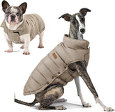 Space Lion Dog Puffer Jacket frente: mantiene al perro cálido y cómodo durante paseos.