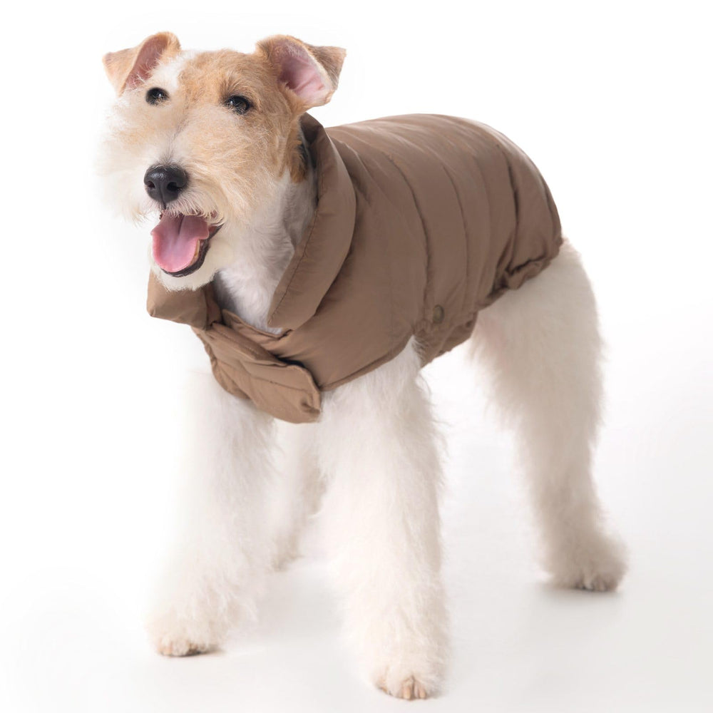 SPACE LION dog puffer jacket front view with lightweight warmth for cold walks
