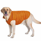 SPACE LION chaqueta para perros, ajuste de cuello cómodo para mayor movilidad