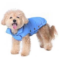 SPACE LION jaqueta para perros, azul Alaska, vista frontal para paseos abrigados.