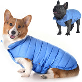 Space Lion chaqueta acolchada para perros azul, vista frontal para paseos diarios.
