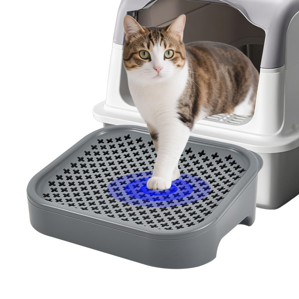 SpaceTime Alfombra Elevada con rampa para gatos, acceso cómodo para gatos pequeños.
