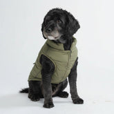 Spark Paws abrigo frontal oliva, cálido y seco para tu perro.