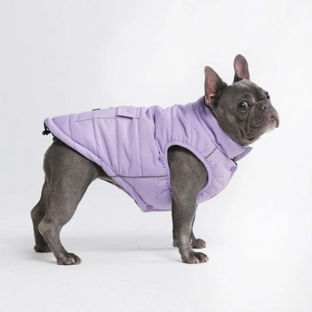 Spark Paws abrigo de invierno para perro lila, vista frontal para mantenerlo cálido