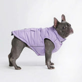 Spark Paws abrigo de invierno para perro lila, vista frontal para mantenerlo cálido