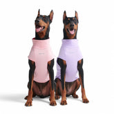 Spark Paws camiseta solar para perro, frontal, protección SPF30 para salir al exterior.