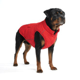 Spark Paws chaqueta invierno frente: protección contra viento y lluvia para perros activos