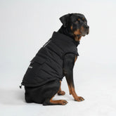 Spark Paws chaqueta invierno para perros, exterior resistente al agua para días lluviosos