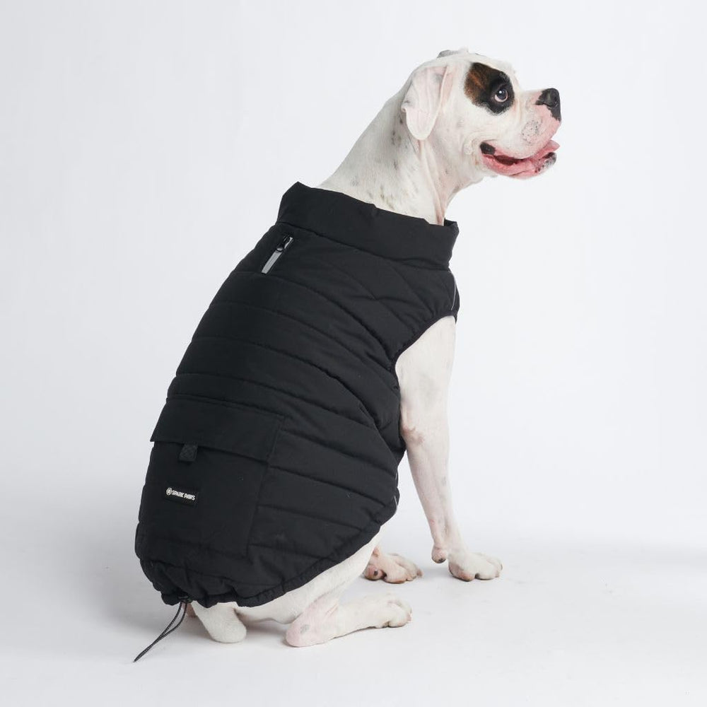 Spark Paws chaqueta de invierno para perro, vista frontal, cálido y seco para paseos.