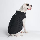 Spark Paws chaqueta de invierno para perro, vista frontal, cálido y seco para paseos.