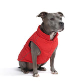 Spark Paws chaqueta para perro invierno, interior forro polar cálido para paseos fríos.