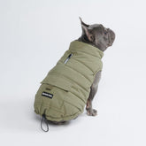 Spark Paws chaqueta invernal para perro en oliva con cierre doble para mayor abrigo