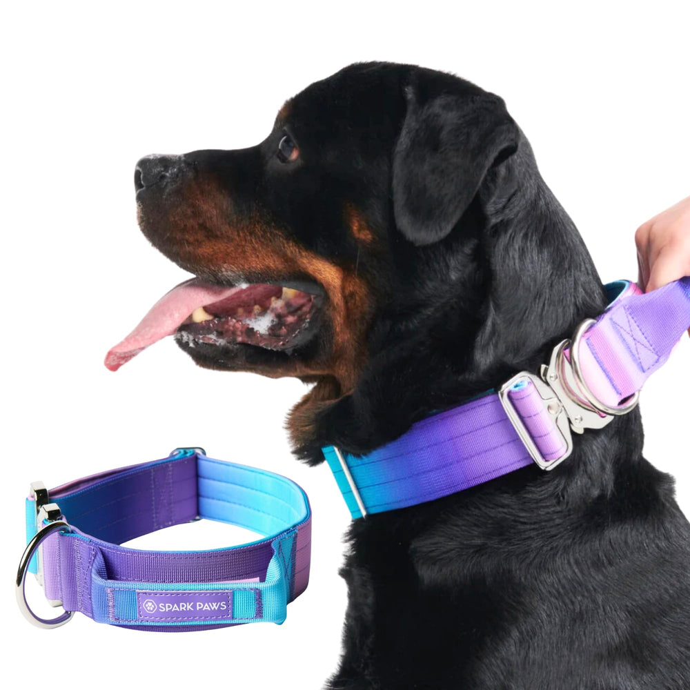 Spark Paws Collar Táctico frente: collar resistente para paseos seguros
