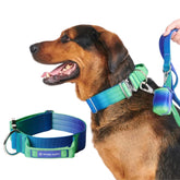 Spark Paws correa táctica color Lima-Onda, resistencia para perros grandes