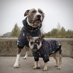 Spark Paws Hoodie Humano tacto sedoso para sentirse suave al usarlo.