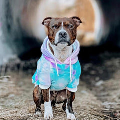 Spark Paws Hoodie puntadas duraderas para uso diario.