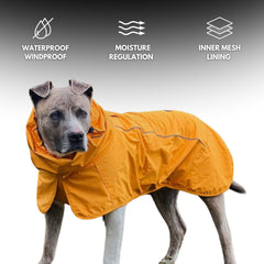 Spark Paws interior con malla aireada para mayor confort