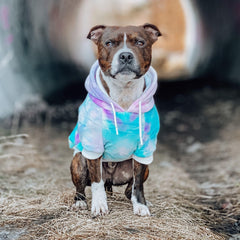 Spark Paws sudadera, apertura para correa discreta, paseos más prácticos.