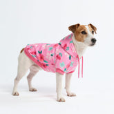 Spark Paws sudadera para perro con confort y libertad de movimiento.
